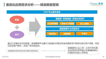 中國數(shù)據(jù)即服務(wù) daas 市場專題分析